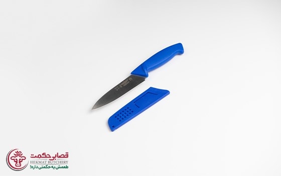 چاقو با تیغه دوازده سانتی